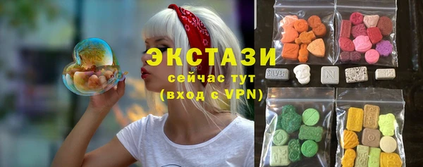 гидра Надым
