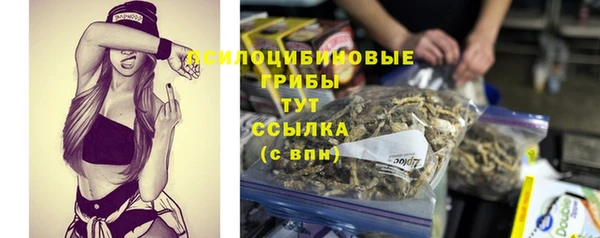 шишки Абинск