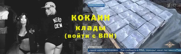 шишки Абинск