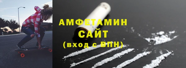 гидра Надым