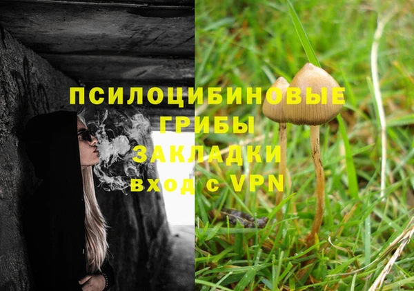 шишки Абинск