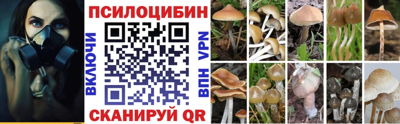 shop как зайти  Безенчук  Галлюциногенные грибы Psilocybe  ссылка на мегу tor 